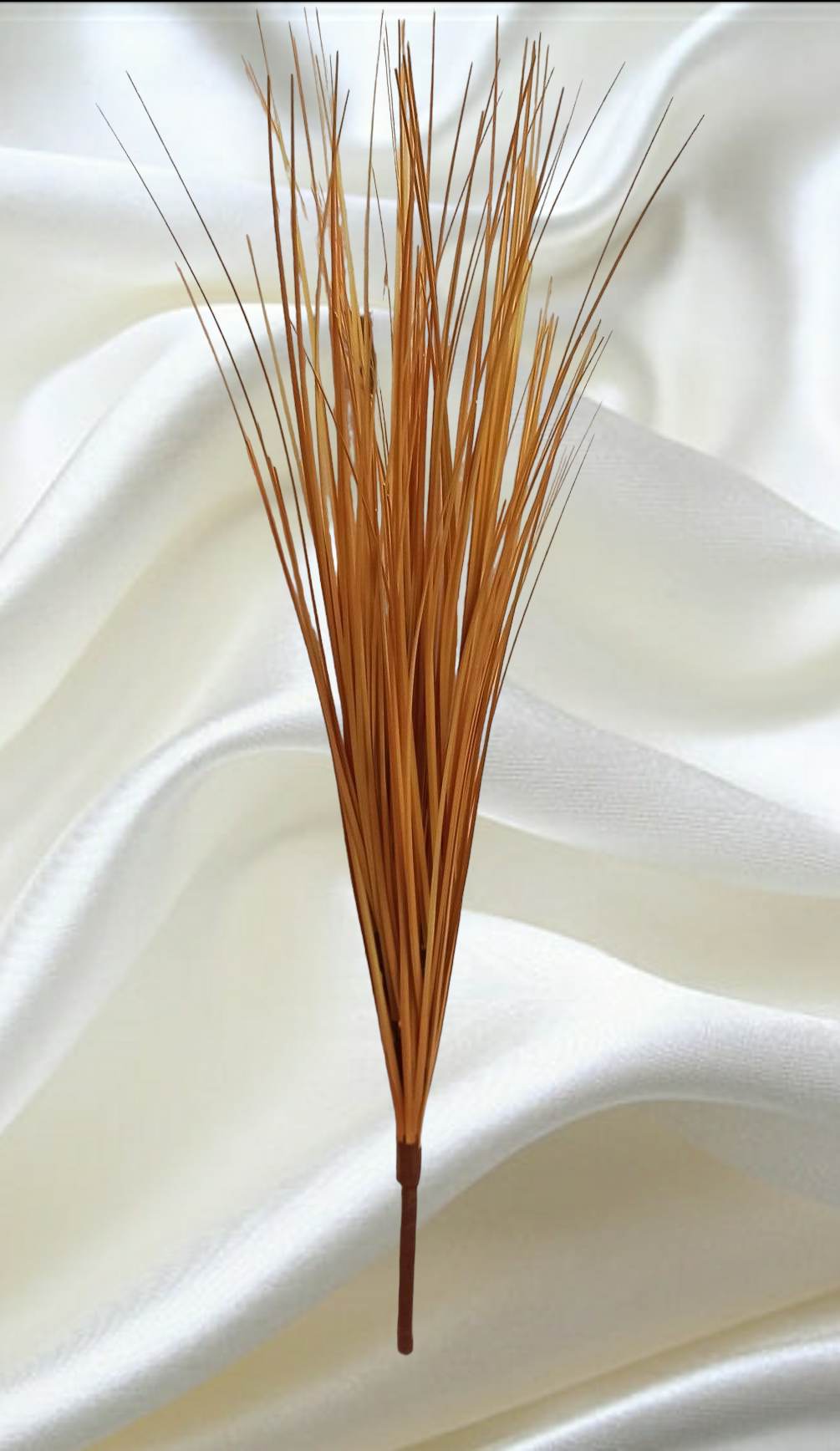 autumn grass - Evergreen Silk Plants
