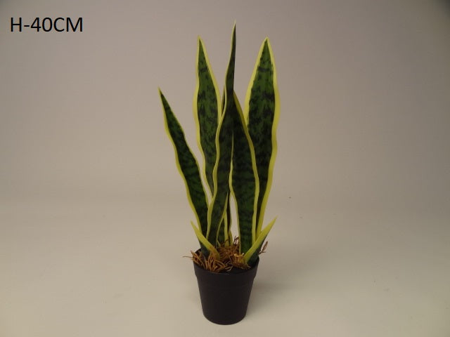 40cm Potted Dracaena Plant - Evergreen Silk Plants
