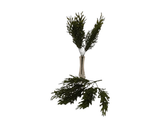 35cm Cedar Greenery