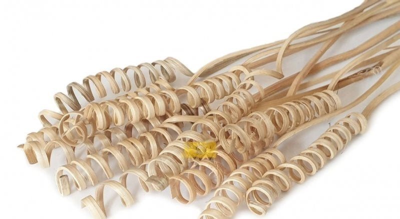 CANE SPRING 50 CM 12 pcs - Evergreen Silk Plants