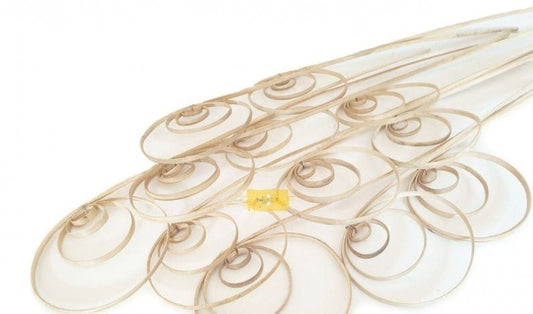 CANE COIL 50 CM NATURAL PEACOCK EYES 12pcs - Evergreen Silk Plants