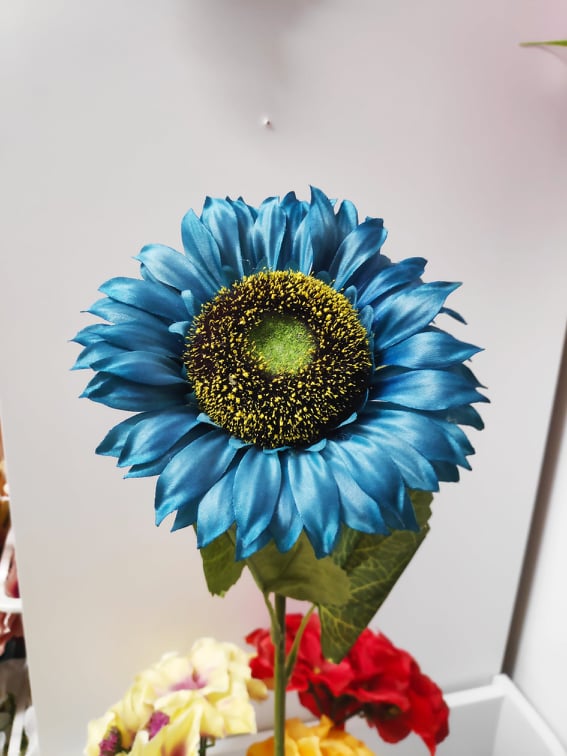 Coloured Stemmed Sunflowers - Evergreen Silk Plants