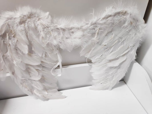 Florist Sundries Angel Wings - Evergreen Silk Plants