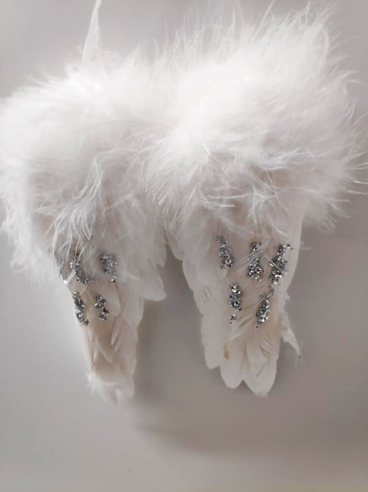 Angel Wings - Evergreen Silk Plants