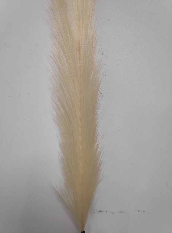New Pampas Grass Yellow Tint - Evergreen Silk Plants