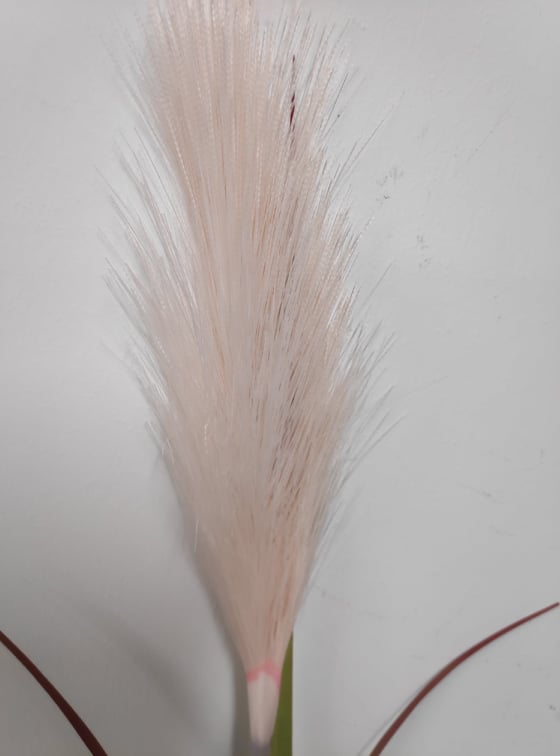 Leafed Pampas Grass Pink - Evergreen Silk Plants