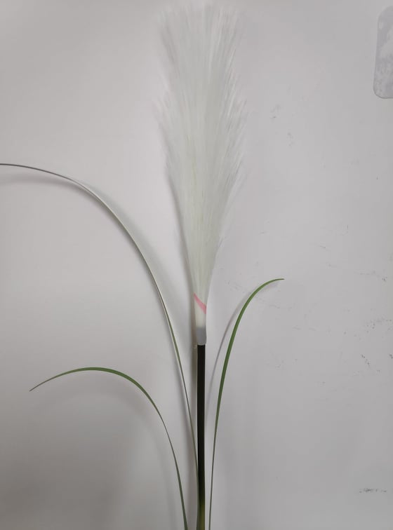 Leafed Pampas Grass White with Green Hue - Evergreen Silk Plants