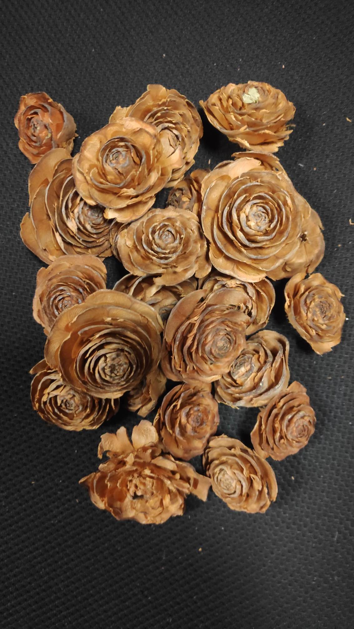 CEDAR ROSE - Evergreen Silk Plants