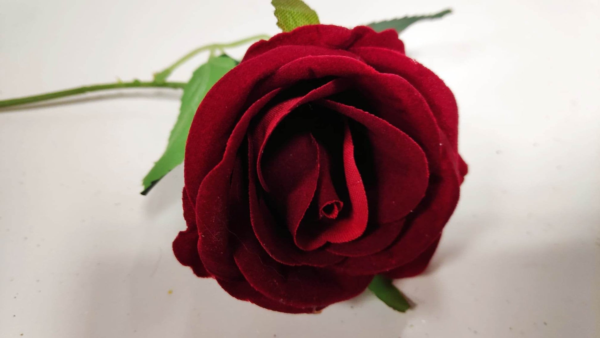 Short Stem Velvet Rose Red - Evergreen Silk Plants