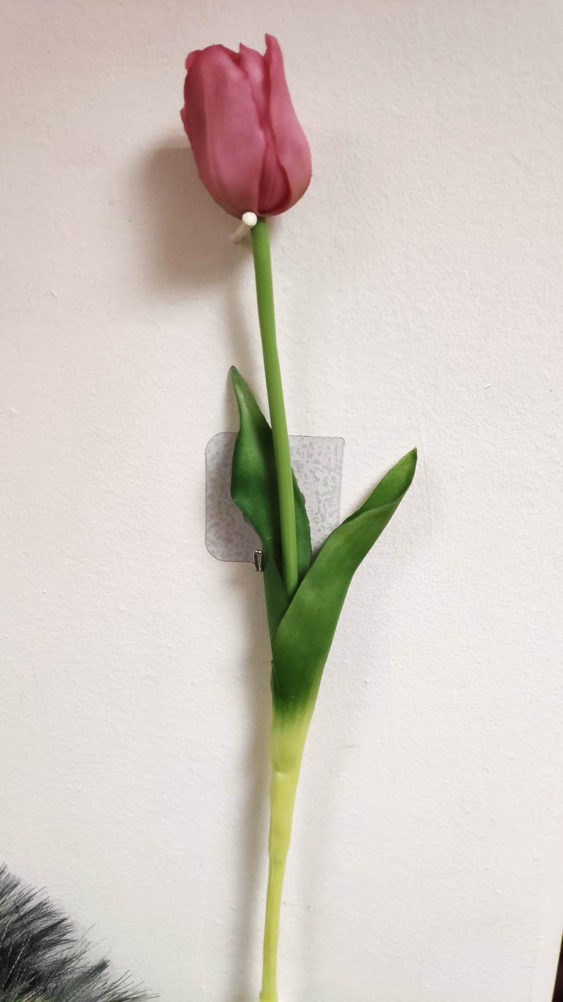 47cm Single Tulip open - Evergreen Silk Plants
