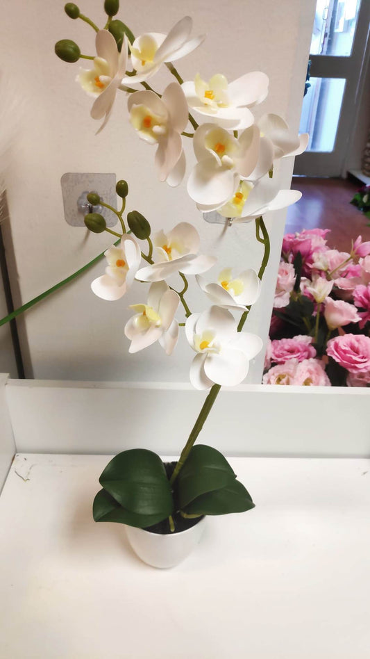 52cm potted Orchid White - Evergreen Silk Plants