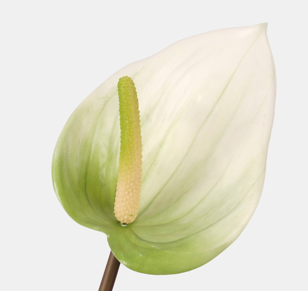 Large Anthurium Sprig - Evergreen Silk Plants