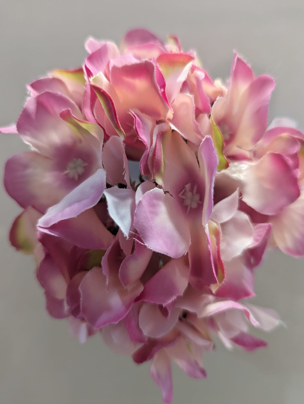 Single Hydrangea Flowerhead | Evergreen Silk Plants