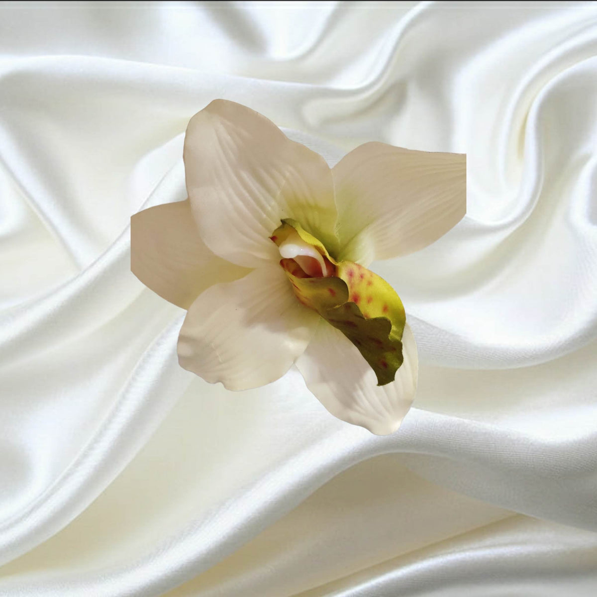 Single Orchid Flowerhead | Evergreen Silk Plants