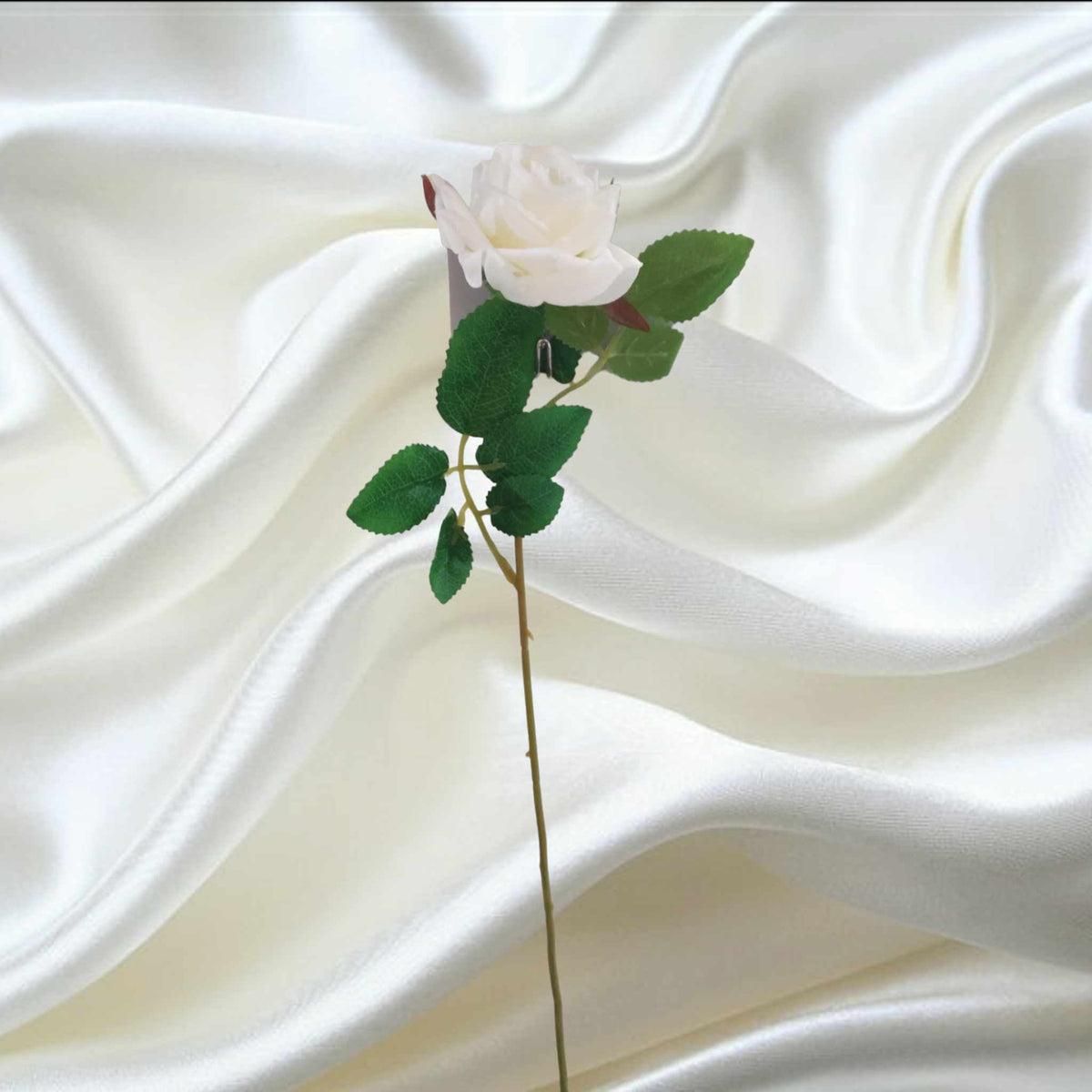 50cm Ivory Rose | Evergreen Silk Plants