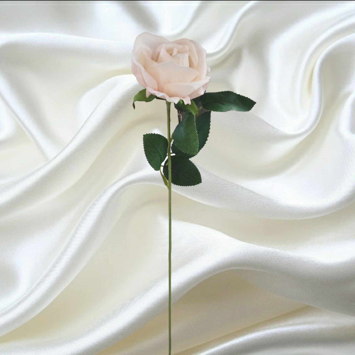 52cm Velvet Rose Cream | Evergreen Silk Plants