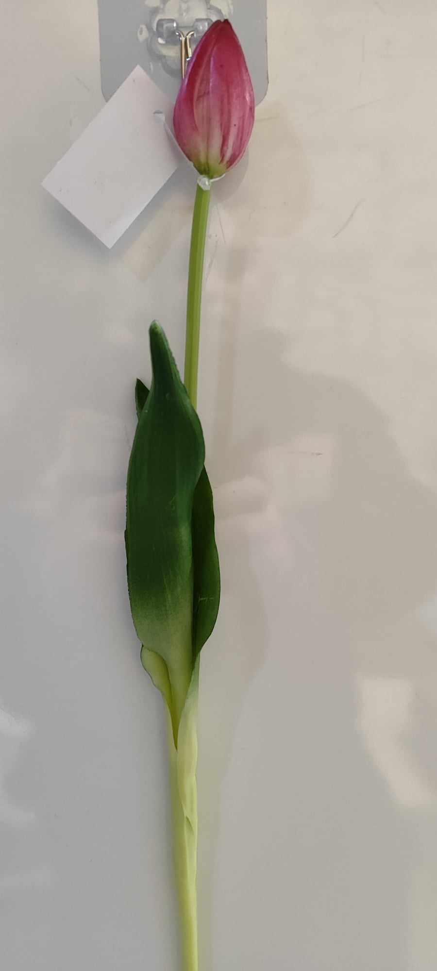 43cm Tulip closed - Evergreen Silk Plants