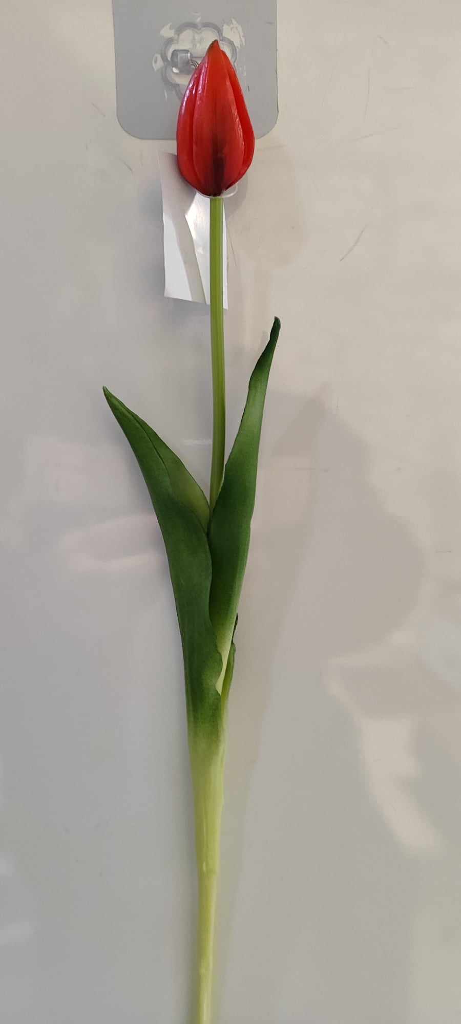 43cm Tulip closed - Evergreen Silk Plants