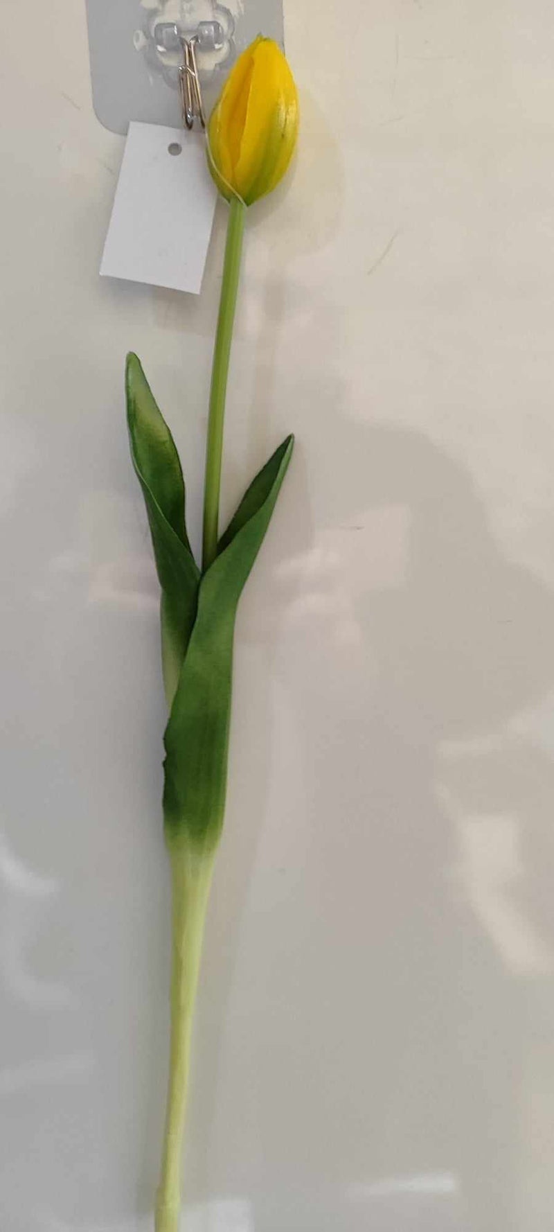 43cm Tulip closed - Evergreen Silk Plants