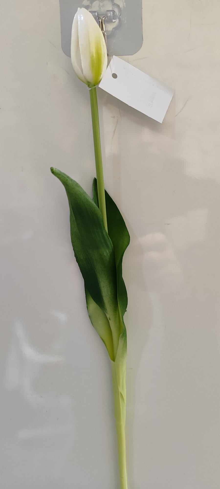 43cm Tulip closed - Evergreen Silk Plants