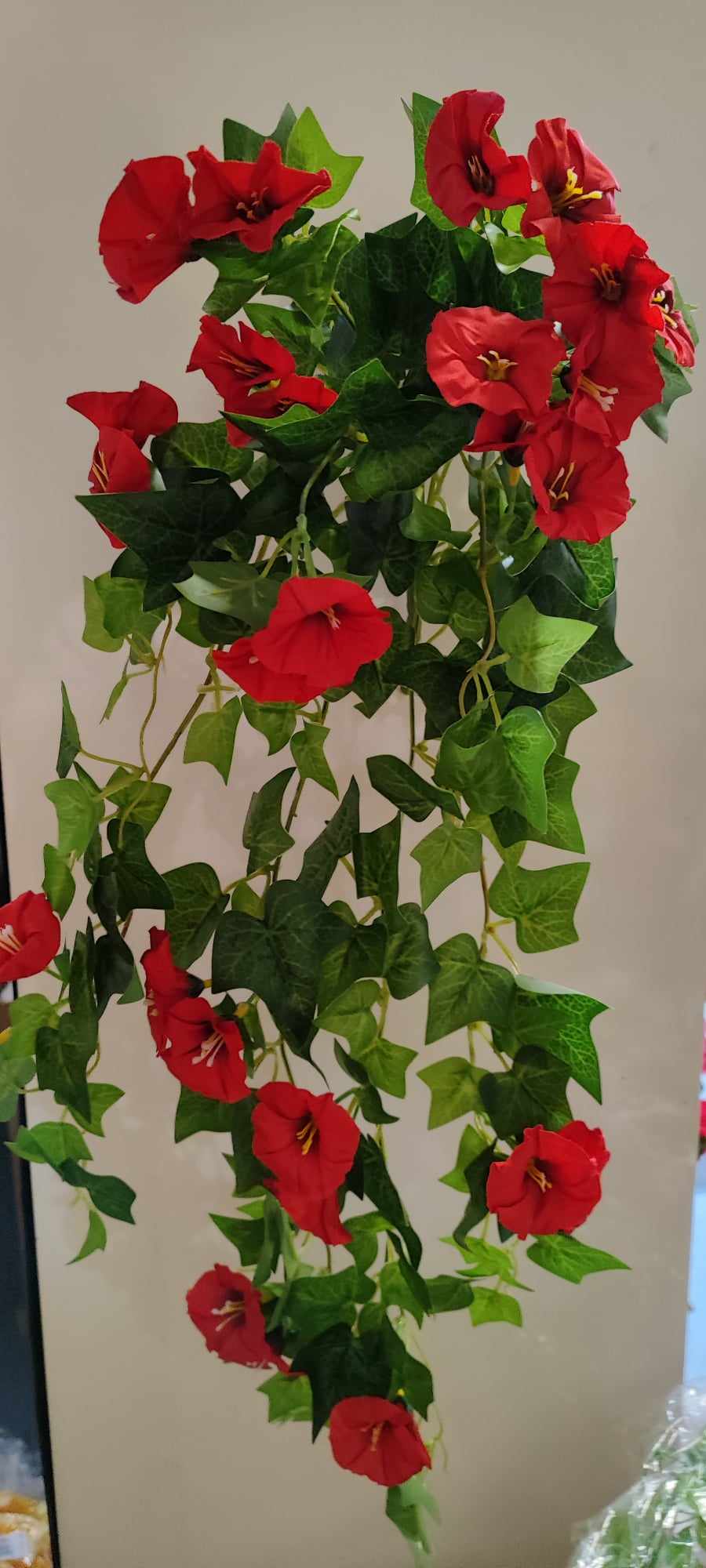 63cm Trailing Morning Glory Red - Evergreen Silk Plants