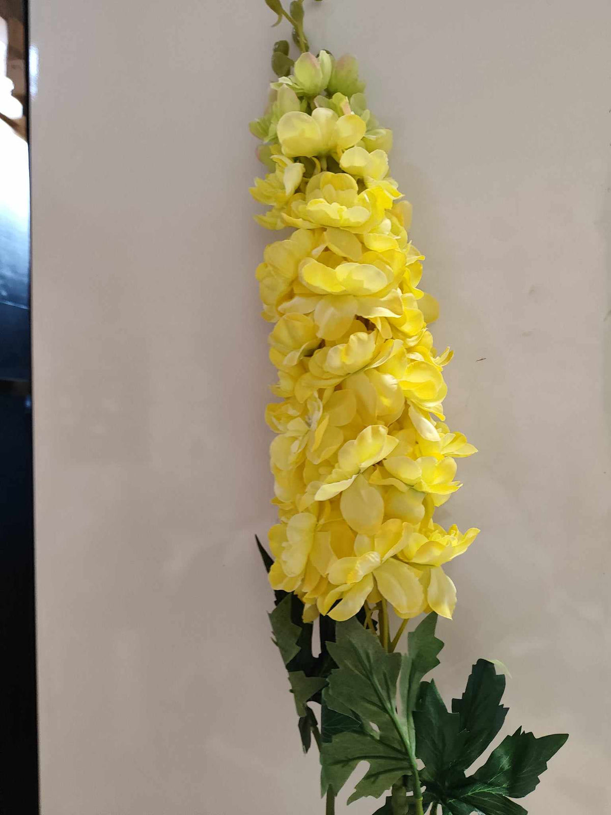 110cm Delphinium Yellow