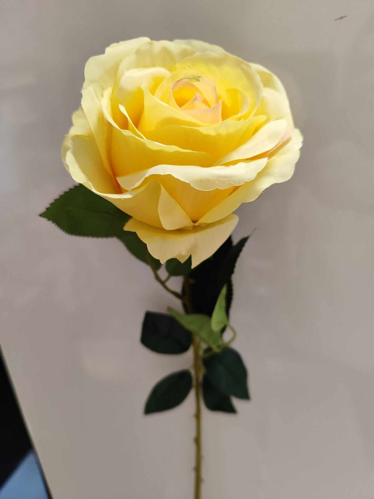78cm Stemmed Rose Yellow