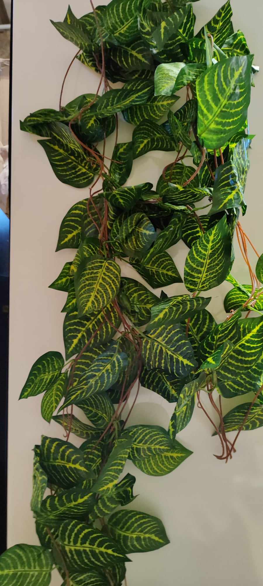 240cm Trailing Ivy. Zebra leaf - Evergreen Silk Plants