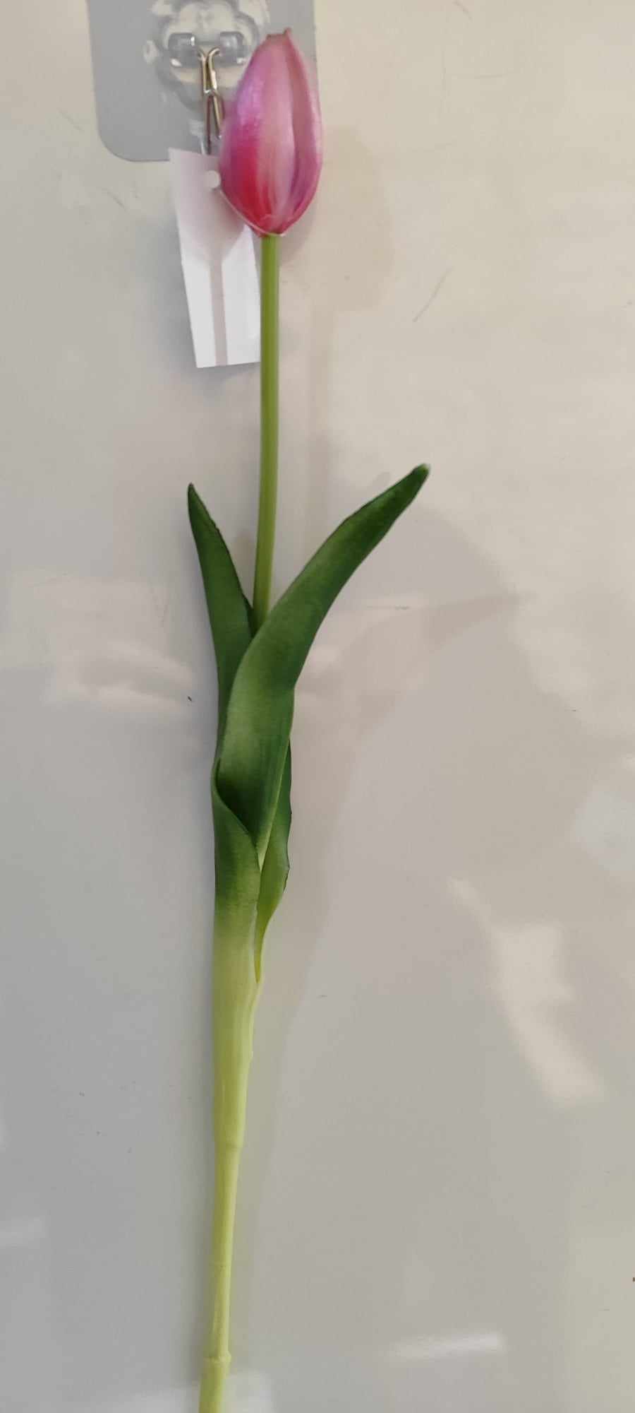 43cm Tulip closed - Evergreen Silk Plants