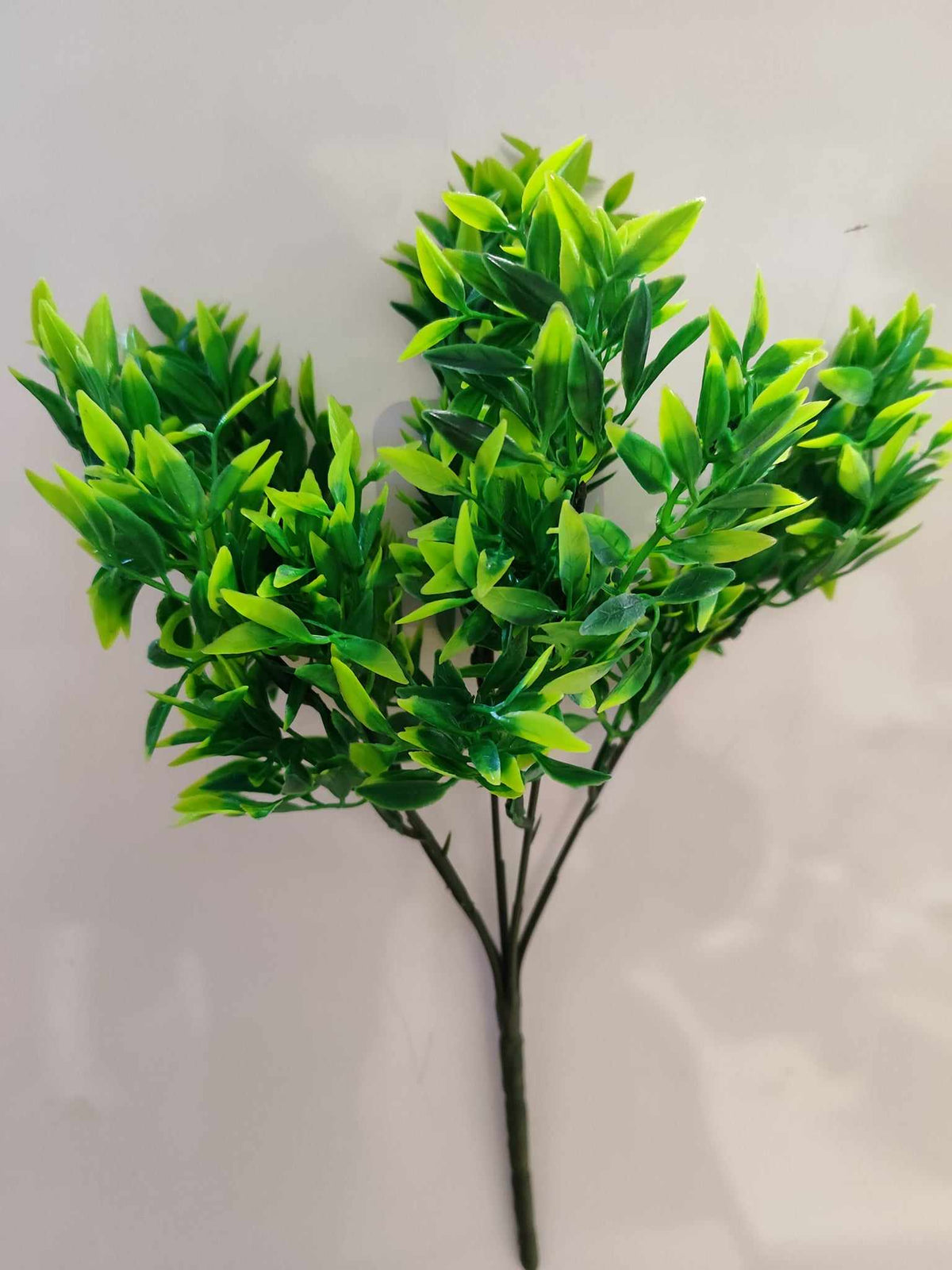 30cm Italian Ruscus - Evergreen Silk Plants