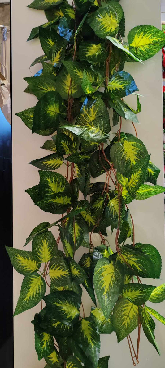 Copy of 240cm Trailing Ivy. Pothos leaf - Evergreen Silk Plants