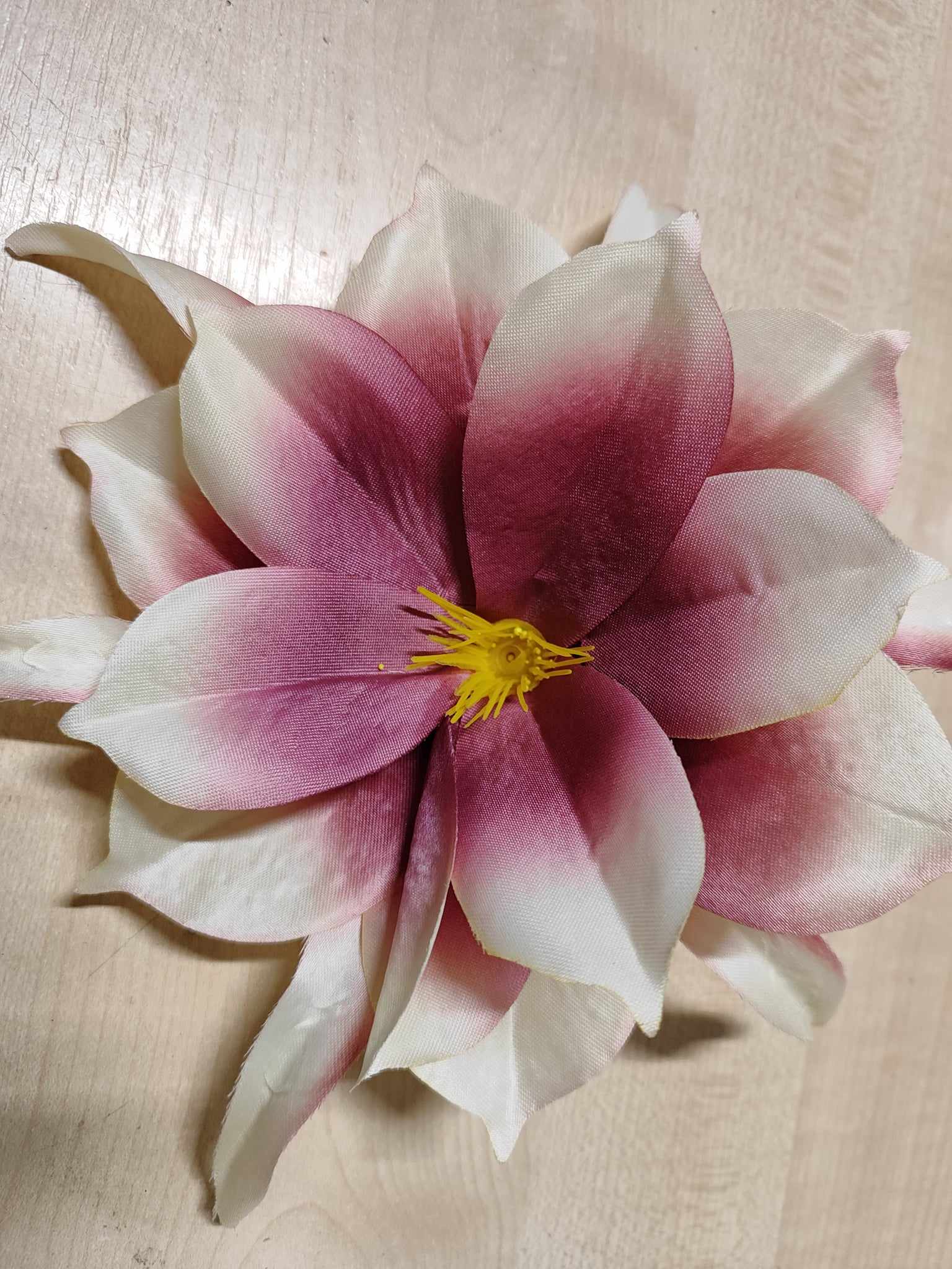 24cm Epiphyllum Burgundy/Cream - Evergreen Silk Plants