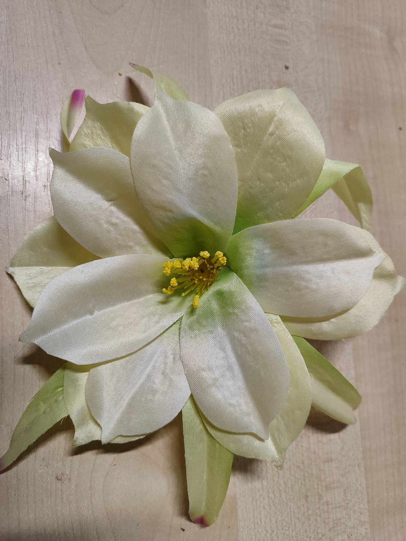 24cm Epiphyllum Green - Evergreen Silk Plants