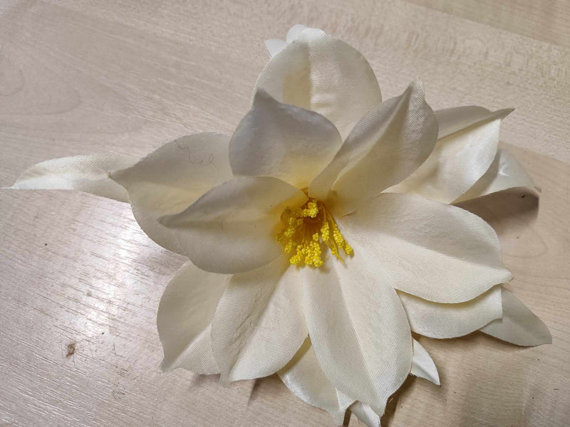 24cm Epiphyllum Cream - Evergreen Silk Plants