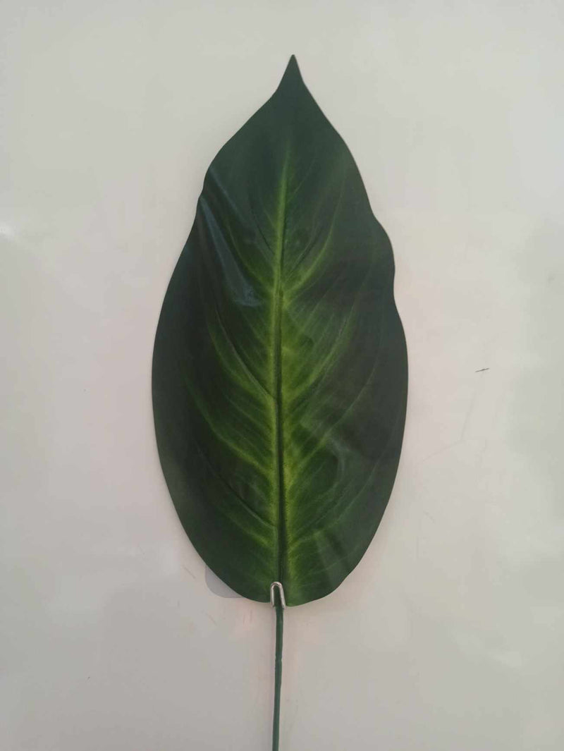 50cm stem leaf - Evergreen Silk Plants