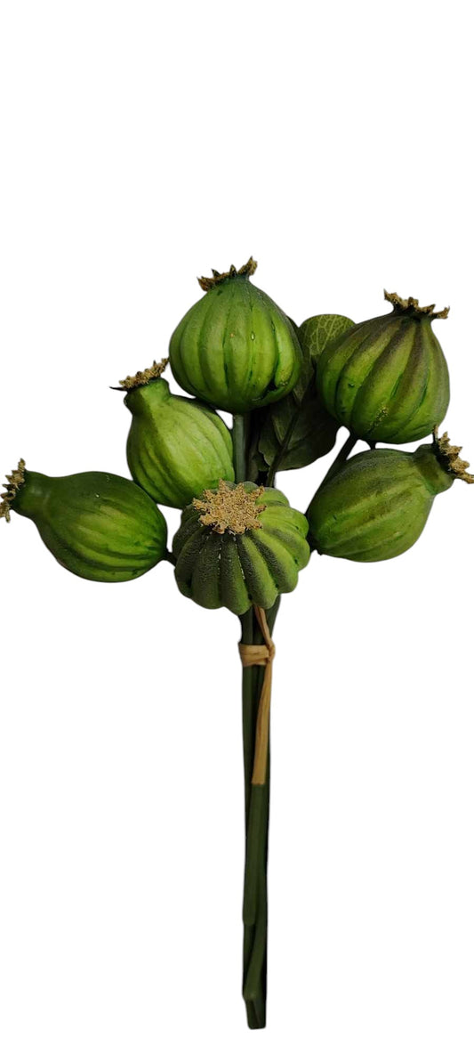 28cm Opium Poppy x 6 Green