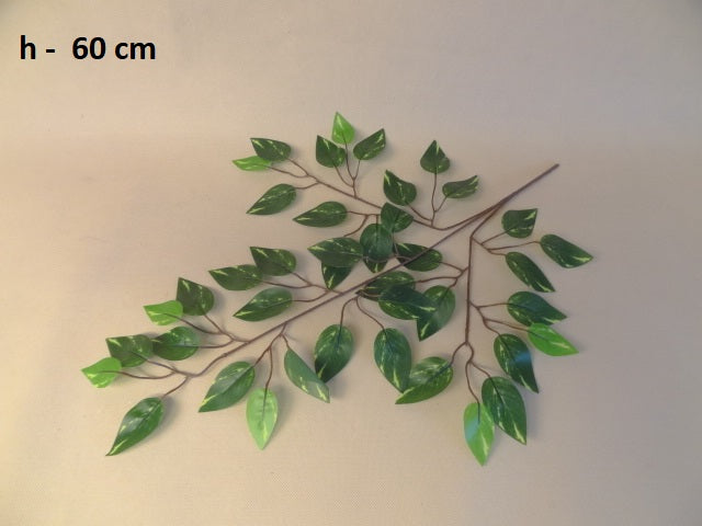 60cm Mottled Ficus - Evergreen Silk Plants
