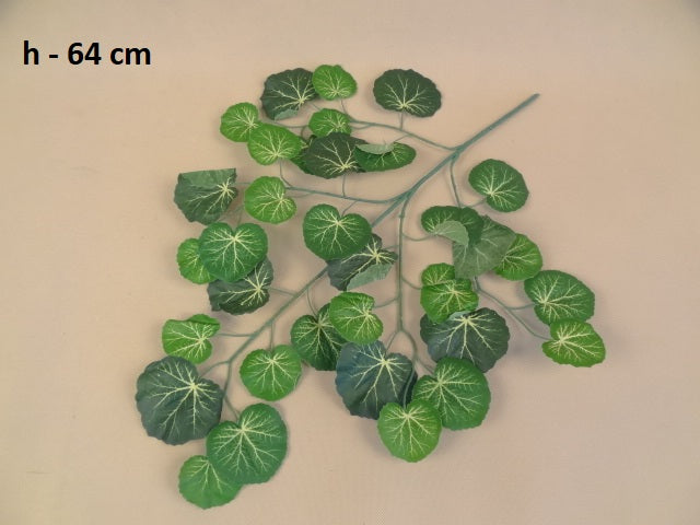 64cm Polyscias Leaf - Evergreen Silk Plants