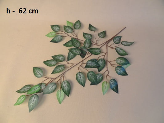 62cm Shaded Ficus - Evergreen Silk Plants