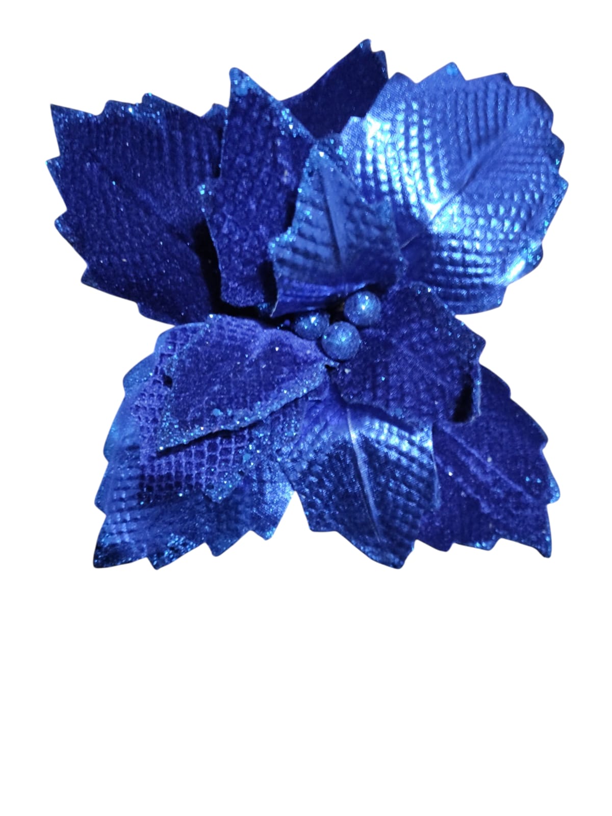 Large Blue Poinsettia