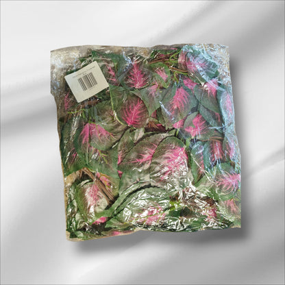 Bargain Box