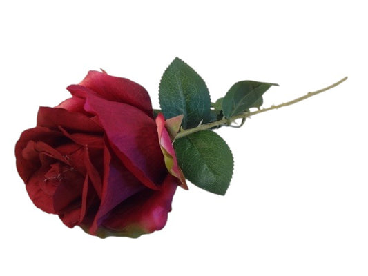 78cm long stemmed Rose Cerise