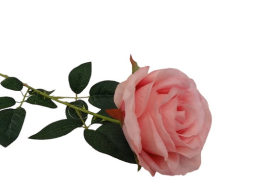 78cm long stemmed Rose Pink