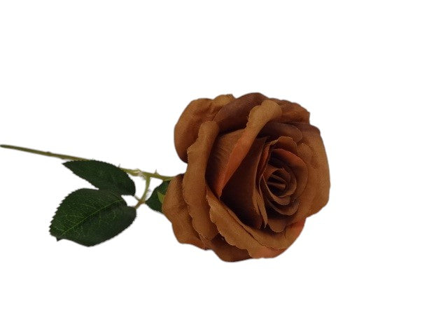 78cm long stemmed Rose Toffee