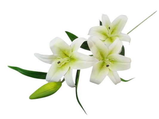 103cm Tiger Lily White