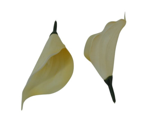 Real Touch Calla Lly Flowerhead Yellow Edge