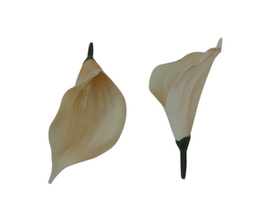Calla lilly flowerhead, cream/peach