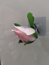 Rosebud flowerheads | Evergreen Silk Plants