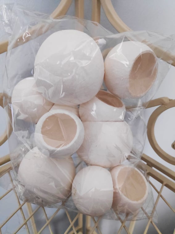 Dried Bleached Bell Cups - Evergreen Silk Plants Dried Bleached Bell Cups - Artificial Dried Bleached Bell Cups - Fake Dried Bleached Bell Cups - plants Dried Bleached Bell Cups - trees Dried Bleached Bell Cups - flowers Dried Bleached Bell Cups - greenery 