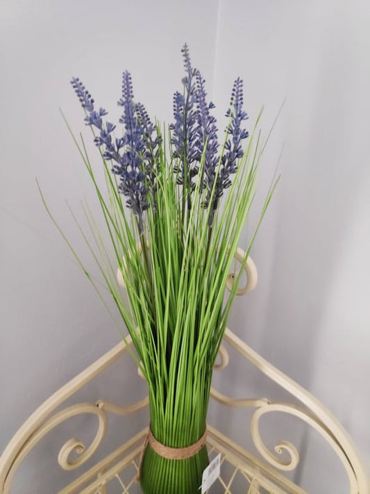 Grass Plant - Evergreen Silk Plants